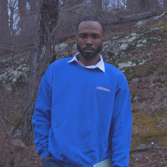 sweatshirt (logo)
